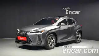 렉서스 UX250h