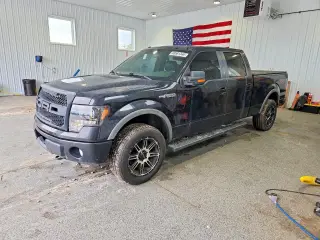 FORD F150 2012