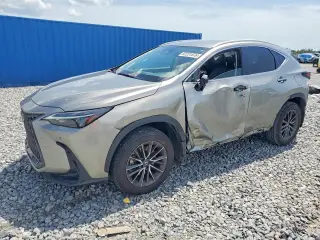 LEXUS NX 250 2025